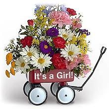 baby girl flowers