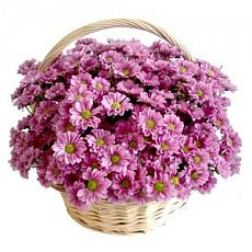Basket with chrysanthemums