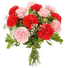 Μπουκέτο of  carnations