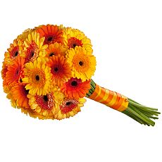 Bouquet of gerberas Sun