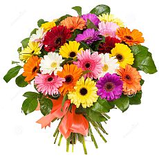Big bouquet of different color gerberas