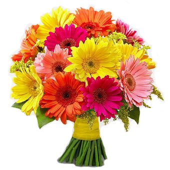 Small bouquet of different color gerberas