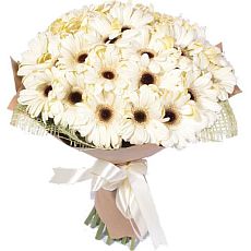 Big bouquet of white gerberas
