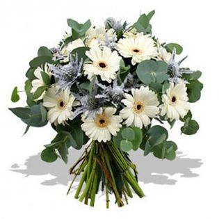 Small bouquet of white gerberas