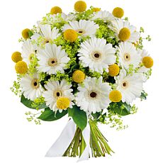 Bouquet of  white gerbera
