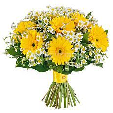 Small bouquet of yellow gerberas