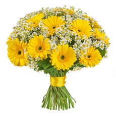 Bouquet of yellow gerberas