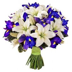 Buket of irises ve lilies