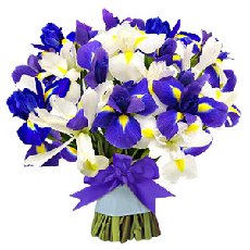 Μπουκέτο of white irises