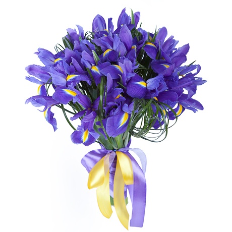 Bouquet of  irises