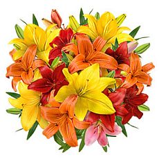 Bouquet of different color lilies
