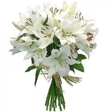 Bouquet of  lily