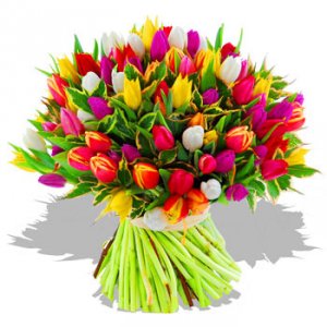 Bouquet of tulips big