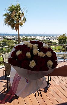 31 red and white roses sea view