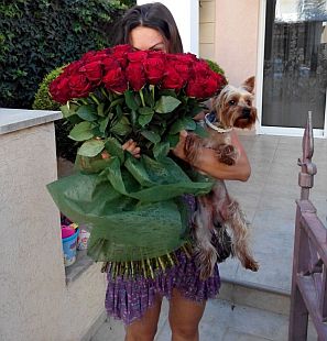 Pretty girl with bouquet of 99 red roses