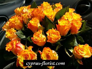 Orange τριαντάφυλλα
