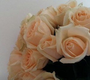 Bouquet cream roses