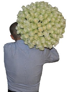 Bouquet of 101 white roses on shoulder