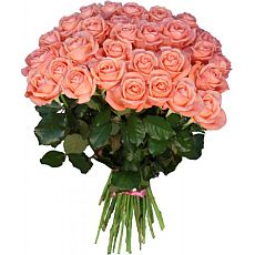 Bouquet of gently-pink roses