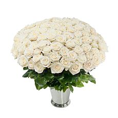 Bouquet of  100 white roses